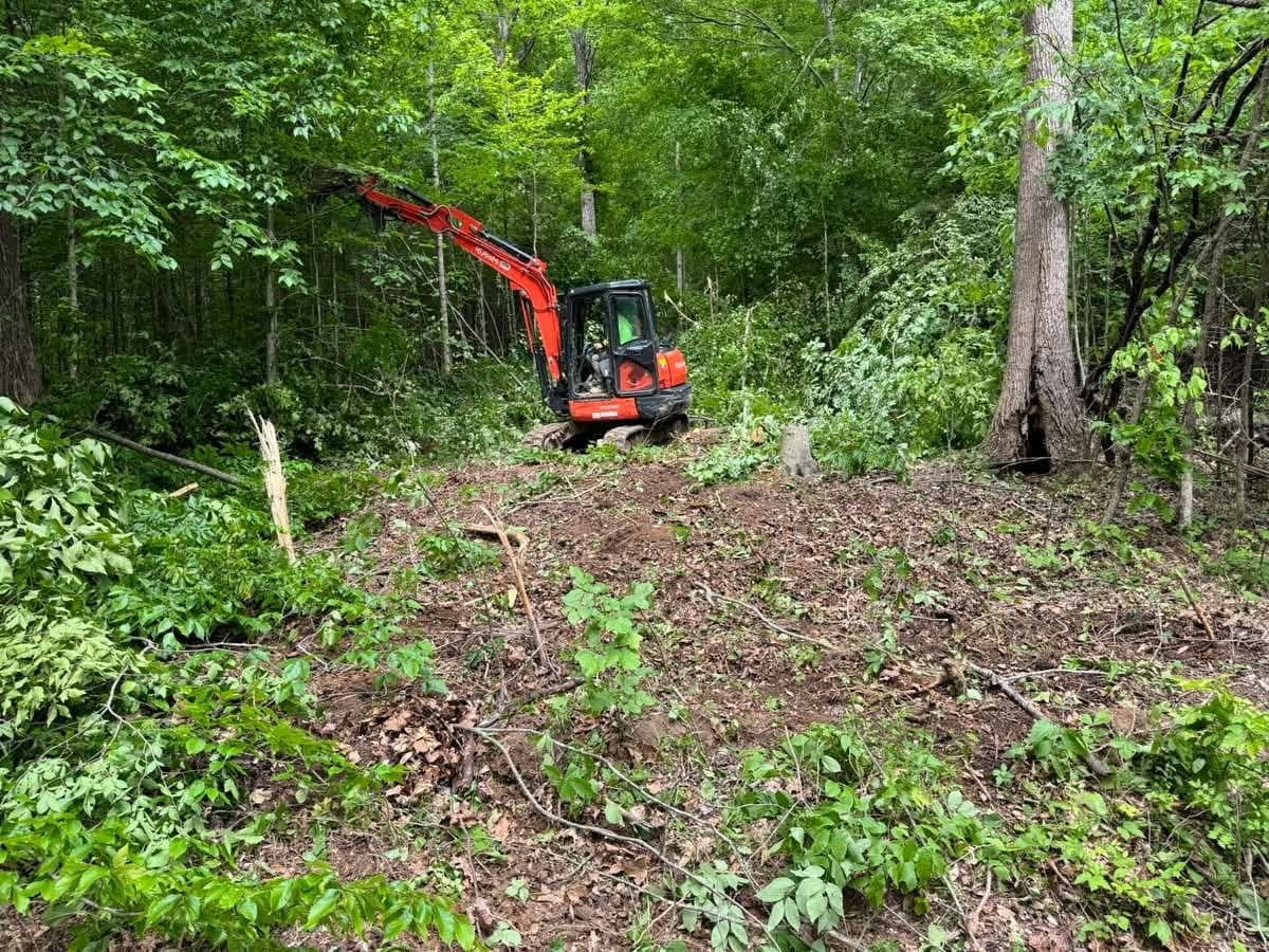 Land clearing project